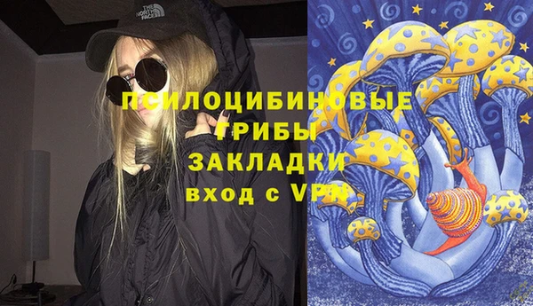 шишки Вязьма